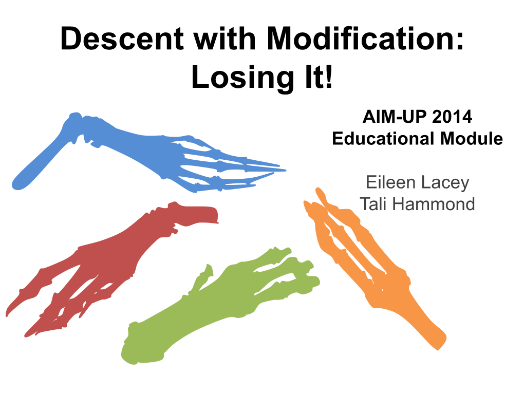 Descent with Modification: Losing It! AIM-UP 2014 Educational Module