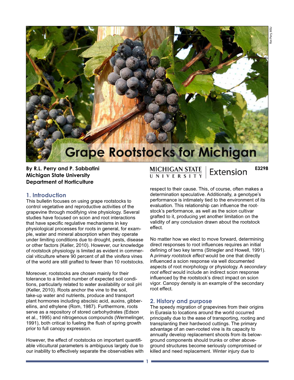 Grape Rootstocks for Michigan