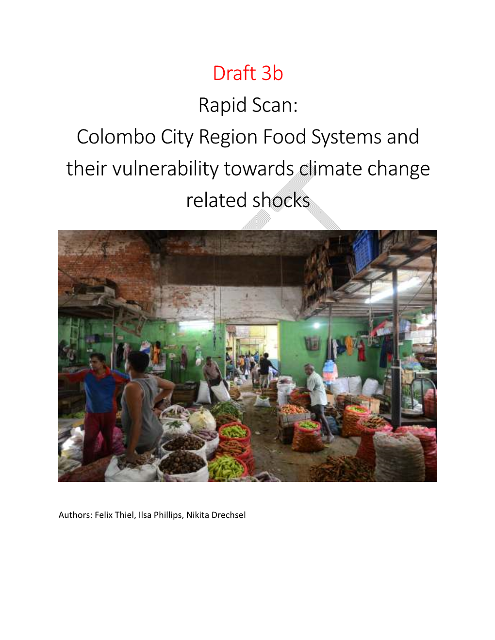 Colombo City Region Food Systems and Their Vulnerability Towards Climate Change Related Shocks