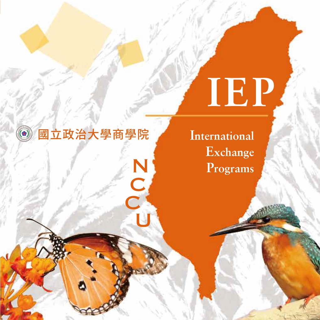 IEP Brochure (PDF Version)