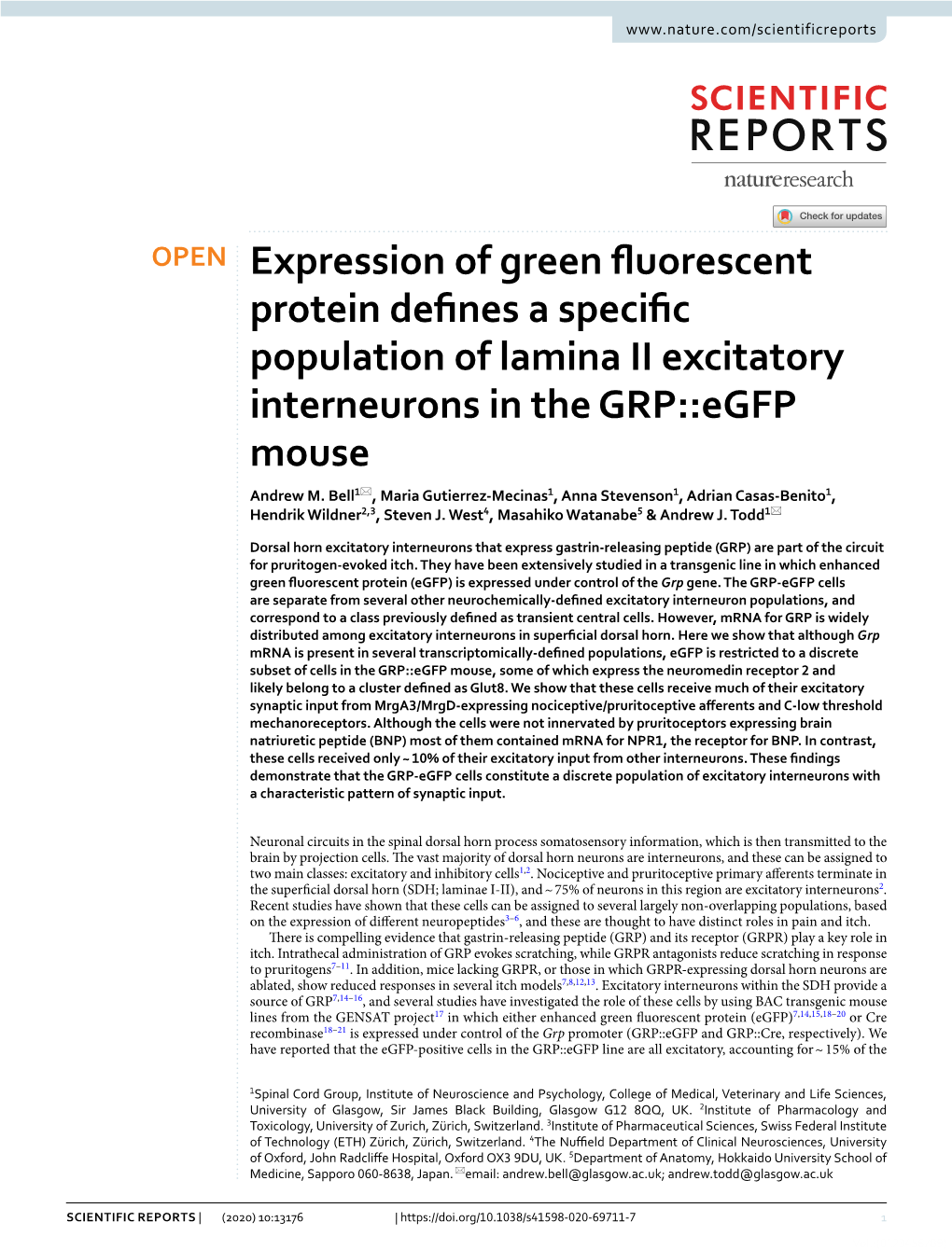Expression of Green Fluorescent Protein Defines a Specific