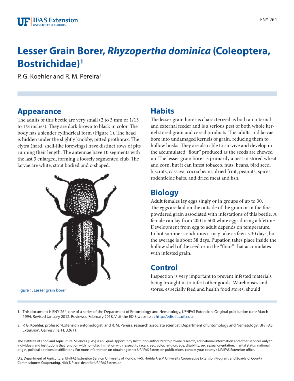 Lesser Grain Borer, Rhyzopertha Dominica (Coleoptera, Bostrichidae)1 P