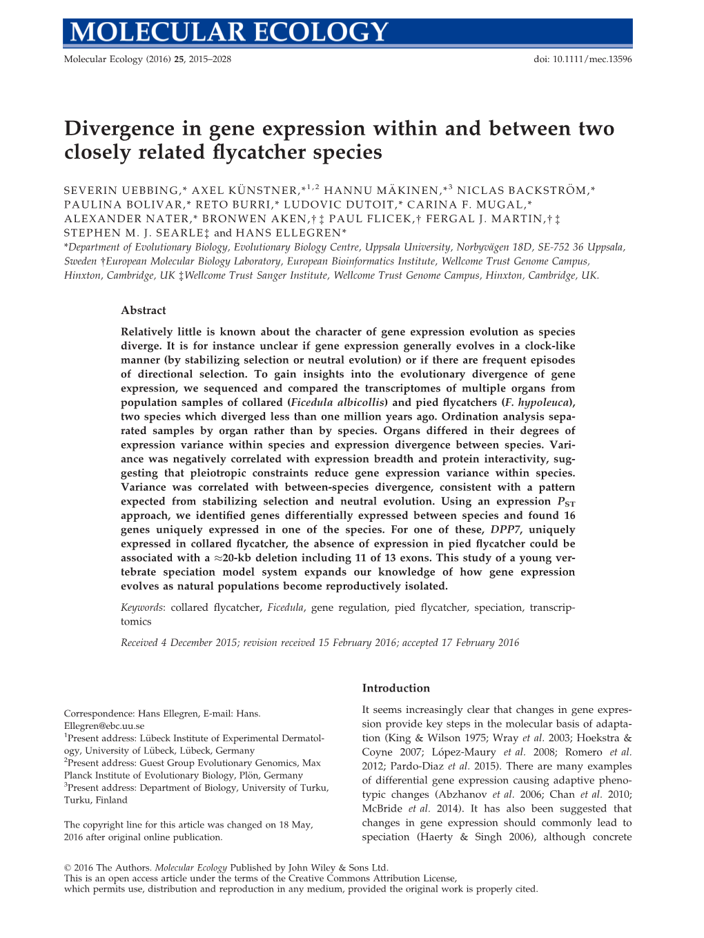 Divergence in Gene Expression Within and Between Two Closely Related ﬂycatcher Species