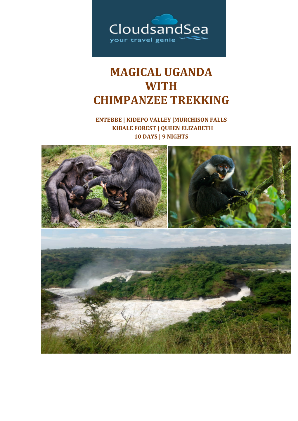 Magical Uganda with Chimpanzee Trekking