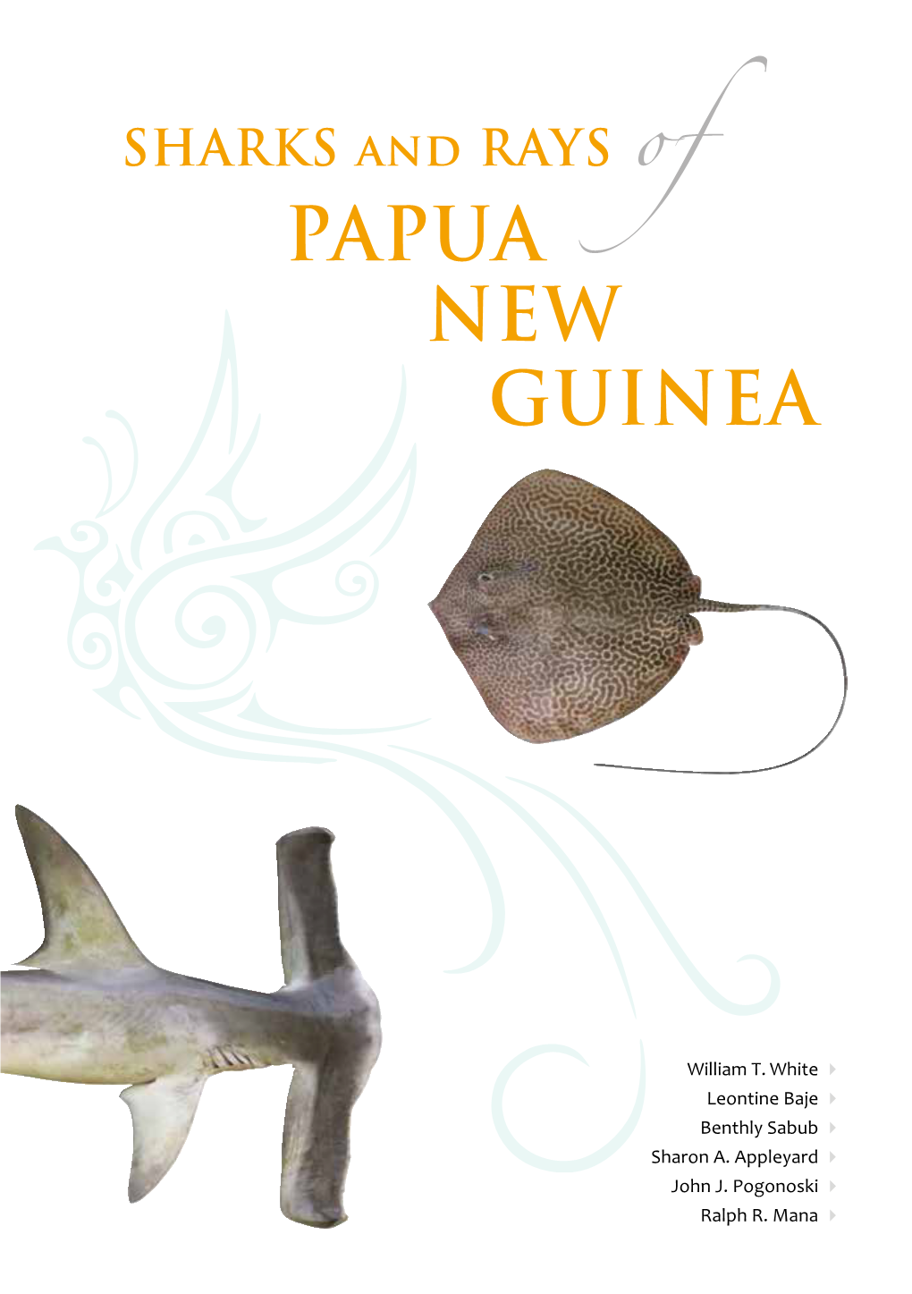 SHARKS and RAYS of PAPUA NEW GUINEA