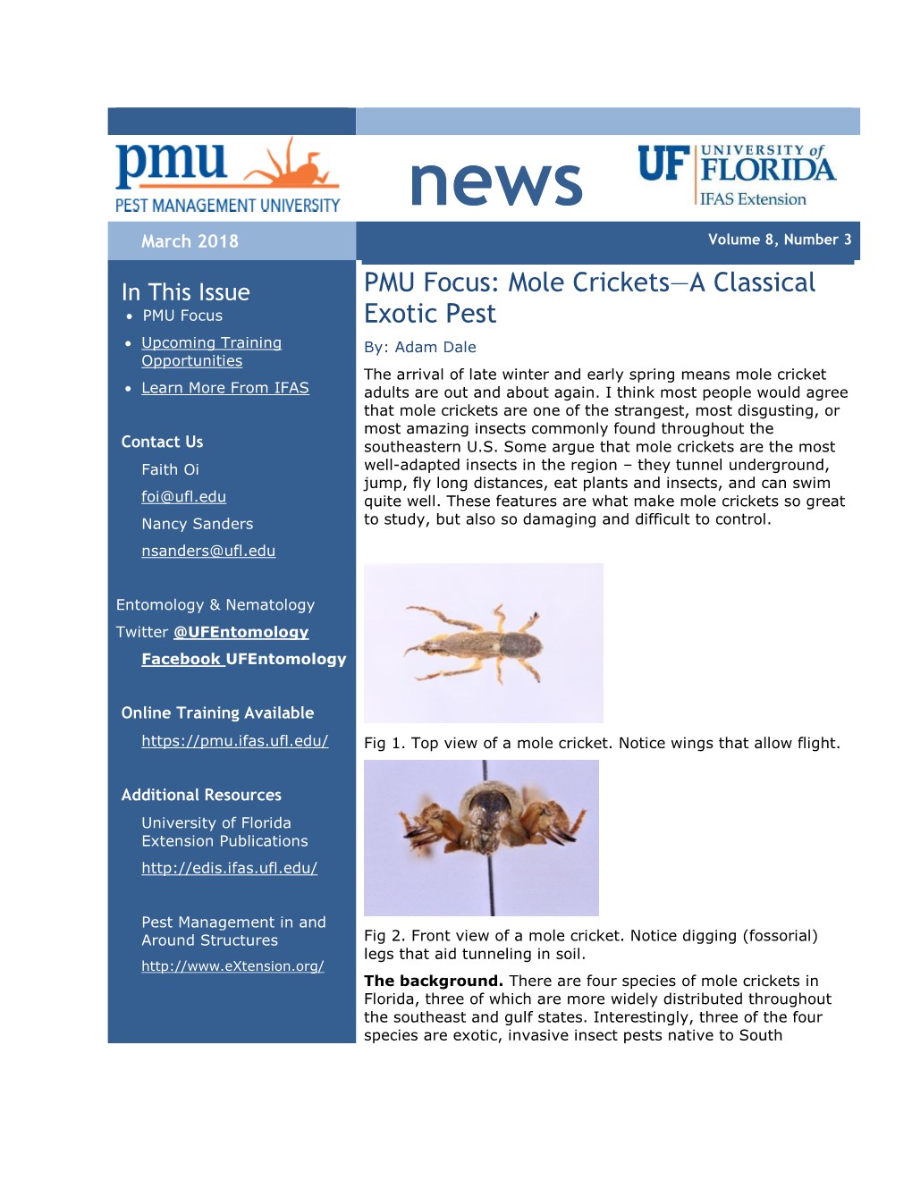 Mole Crickets—A Classical Exotic Pest