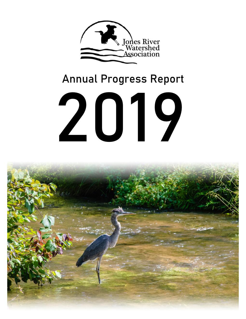 2019 Annual Progress Report