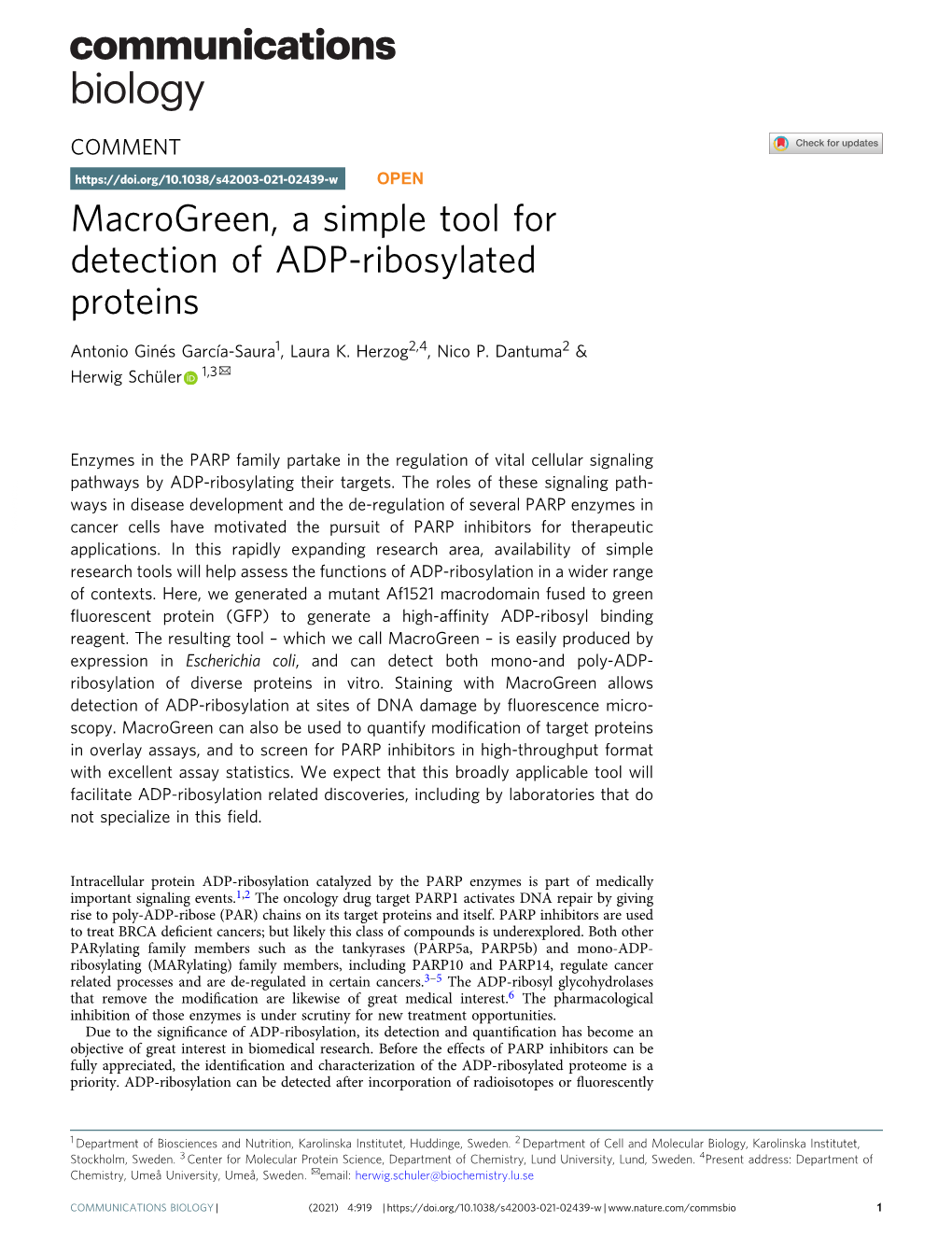 Macrogreen, a Simple Tool for Detection of ADP-Ribosylated Proteins