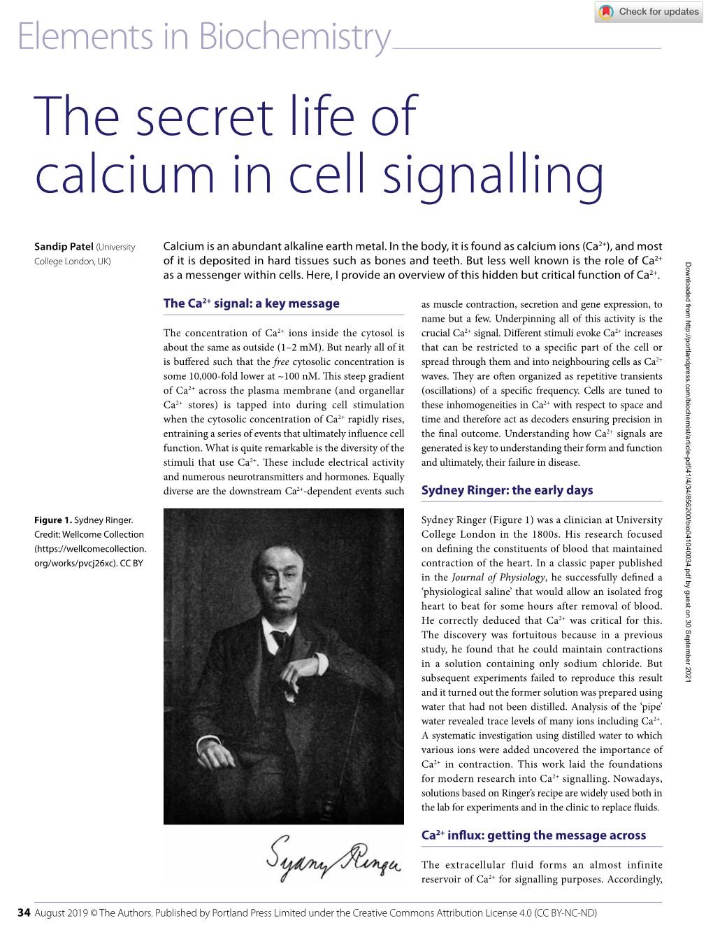 The Secret Life of Calcium in Cell Signalling