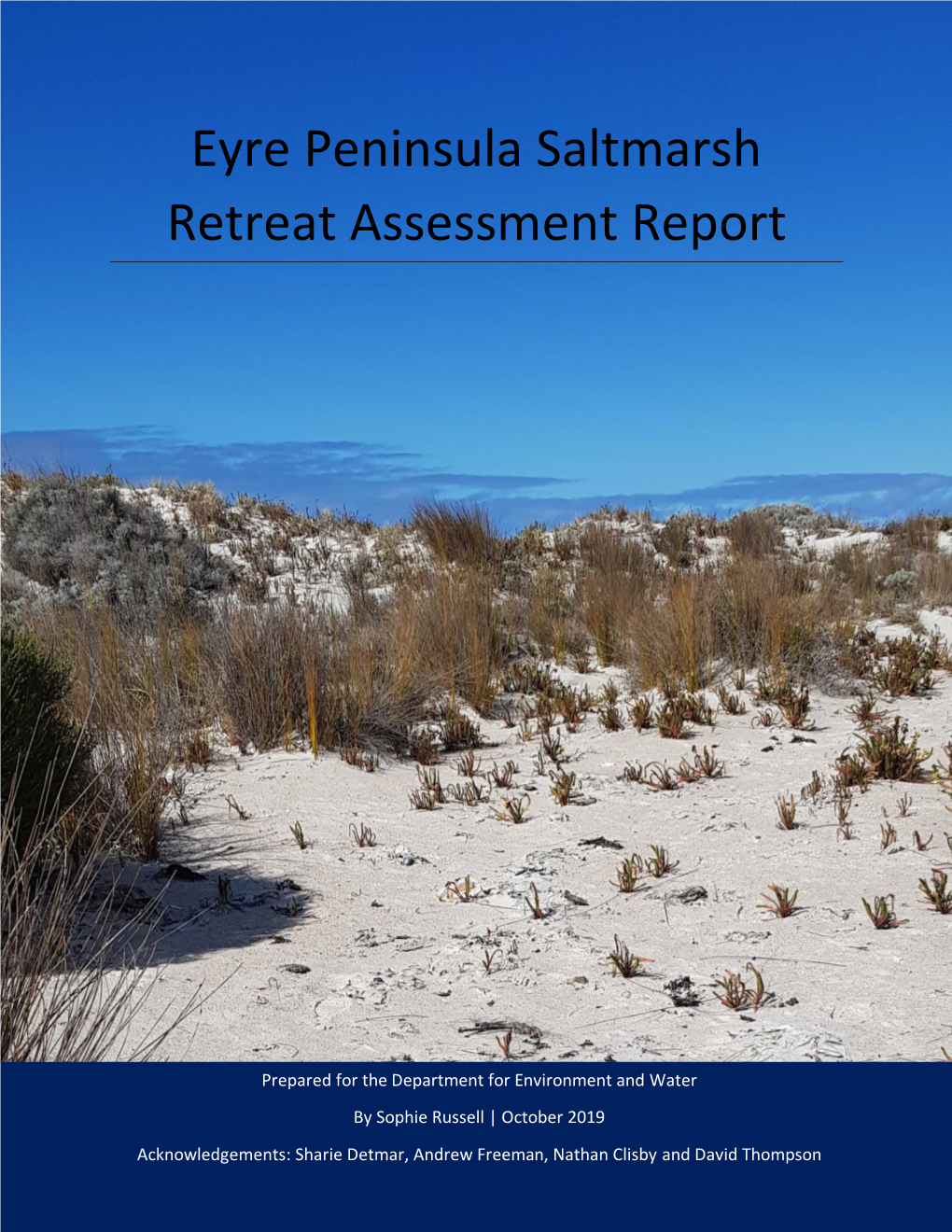 Eyre Peninsula Saltmarsh Retreat Assessment Report