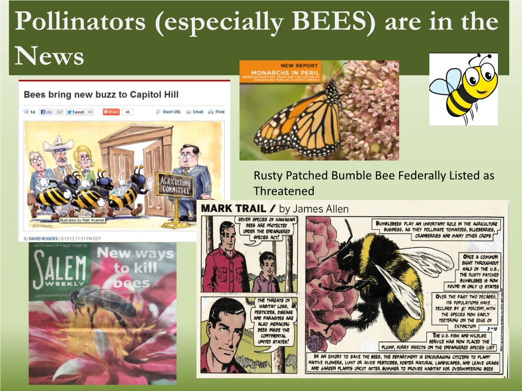 Pollinators (Especially BEES) Are in the News