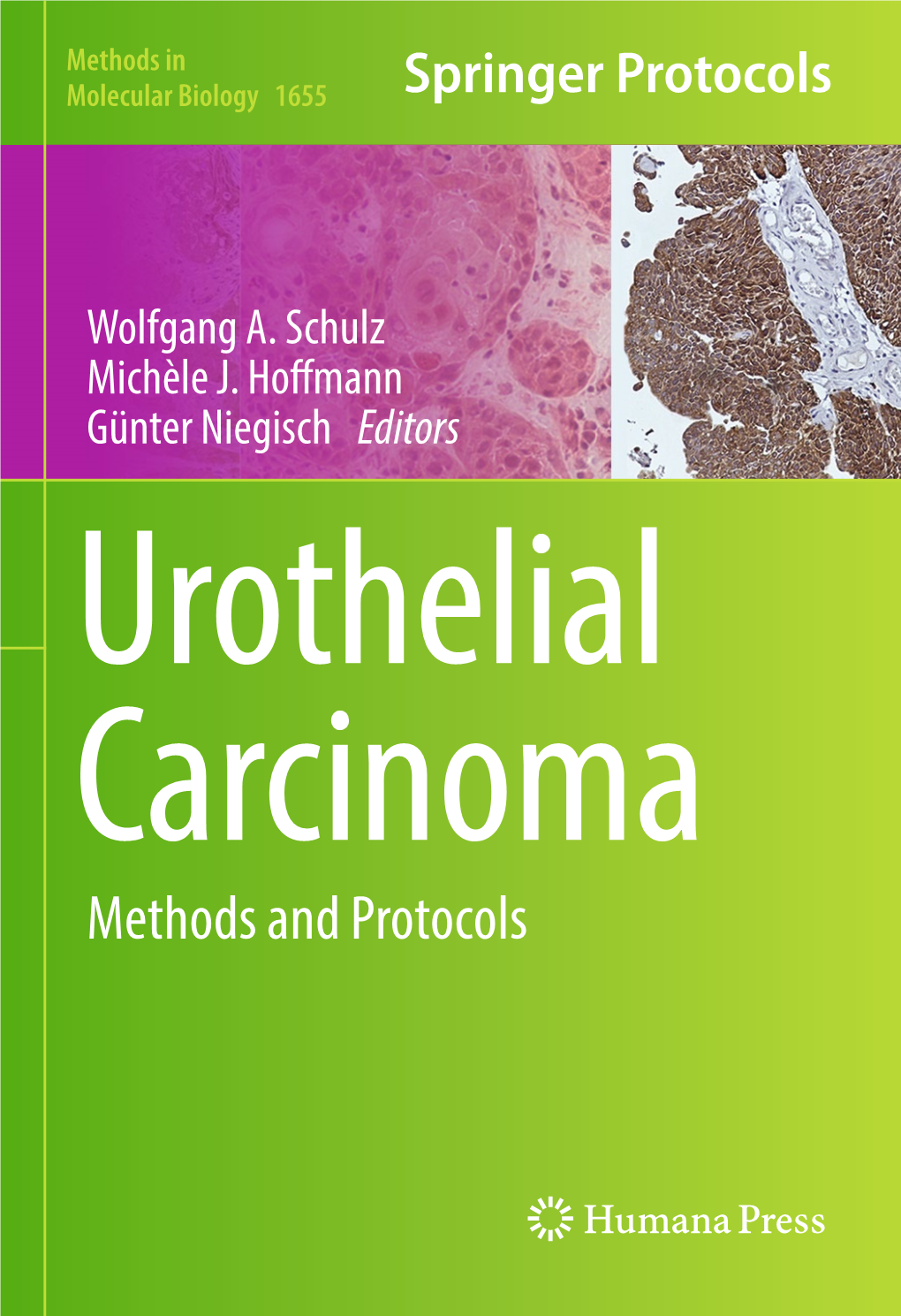 Methods and Protocols M ETHODS in M OLECULAR B IOLOGY