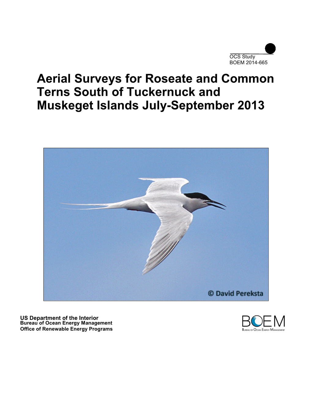 Aerial Surveys for Roseate and Common Terns South of Tuckernuck and Muskeget Islands July-September 2013