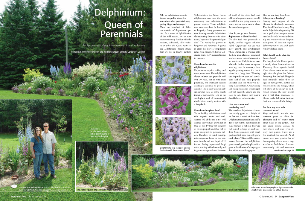 Delphinium: Why Do Delphiniums Seem to Unfortunately, the Giant Pacific All Health of the Plant