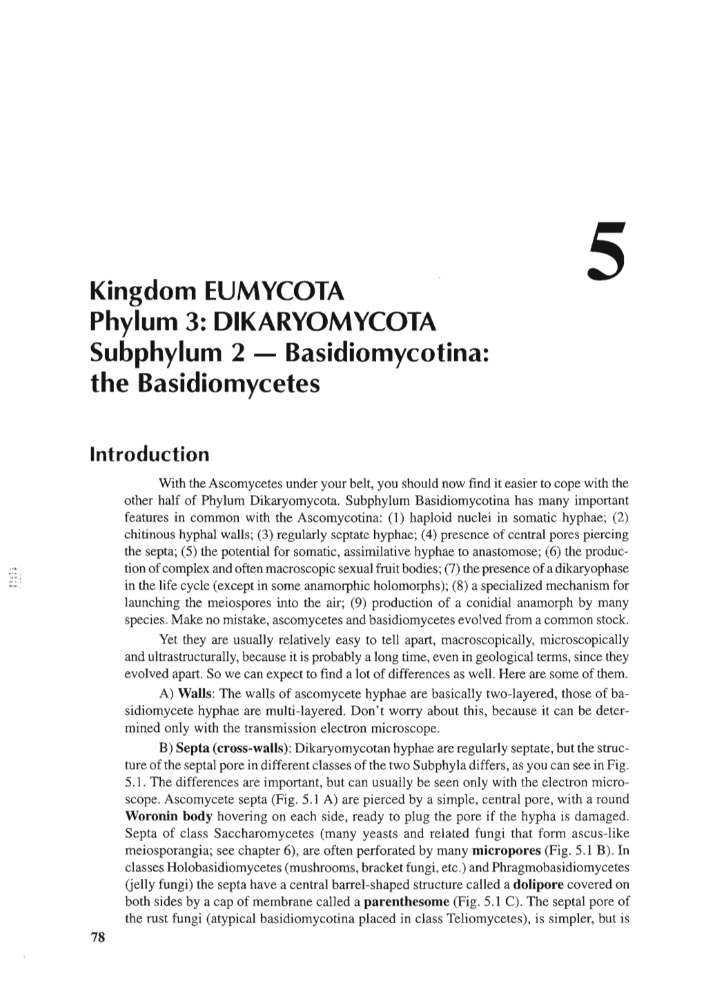 Kingdom EUMYCOTA Phylum 3: DIKARYOMYCOTA Subphylum 2 - Basidiomycotina: the Basidiomycetes