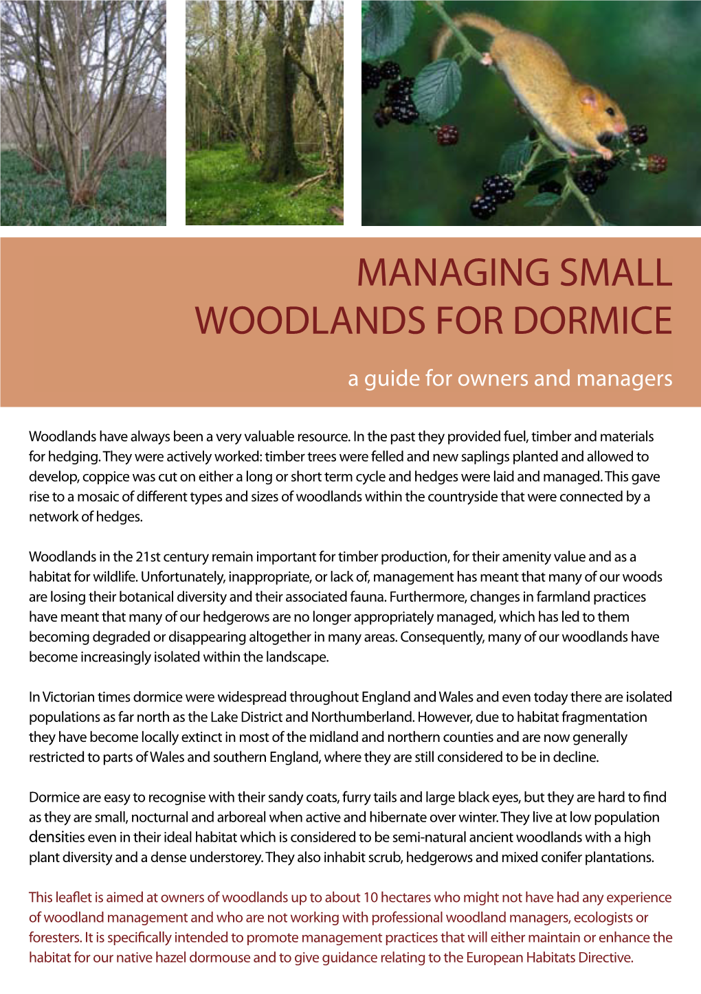 Managing Small Woodlands for Dormice