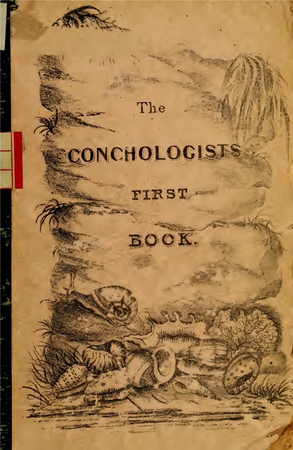 The Conchologist's First Book 1839 (PDF)