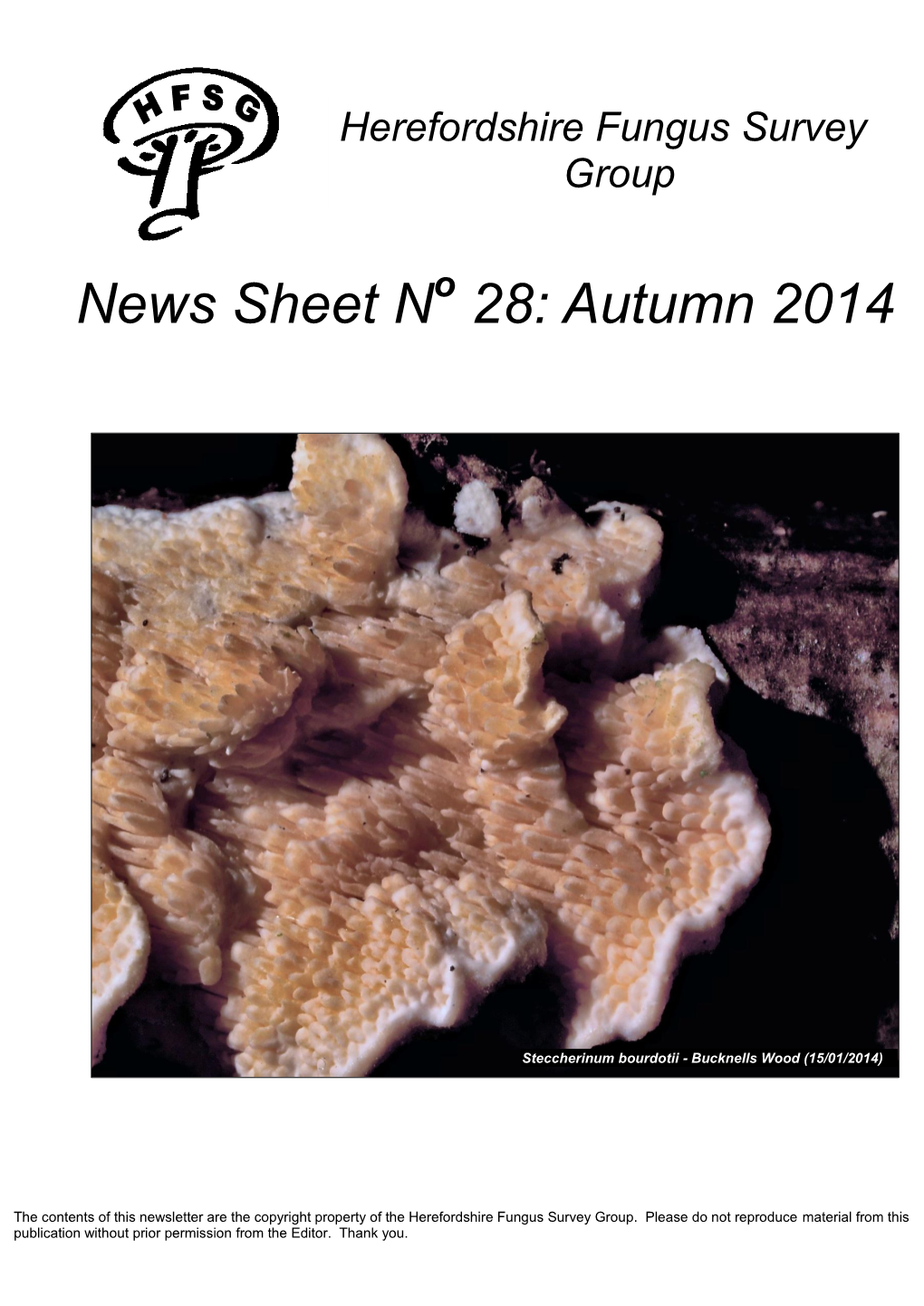 News Sheet N 28: Autumn 2014