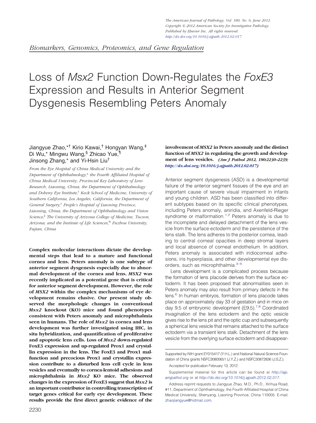 Loss of Msx2 Function Down-Regulates the Foxe3 Expression and Results in Anterior Segment Dysgenesis Resembling Peters Anomaly