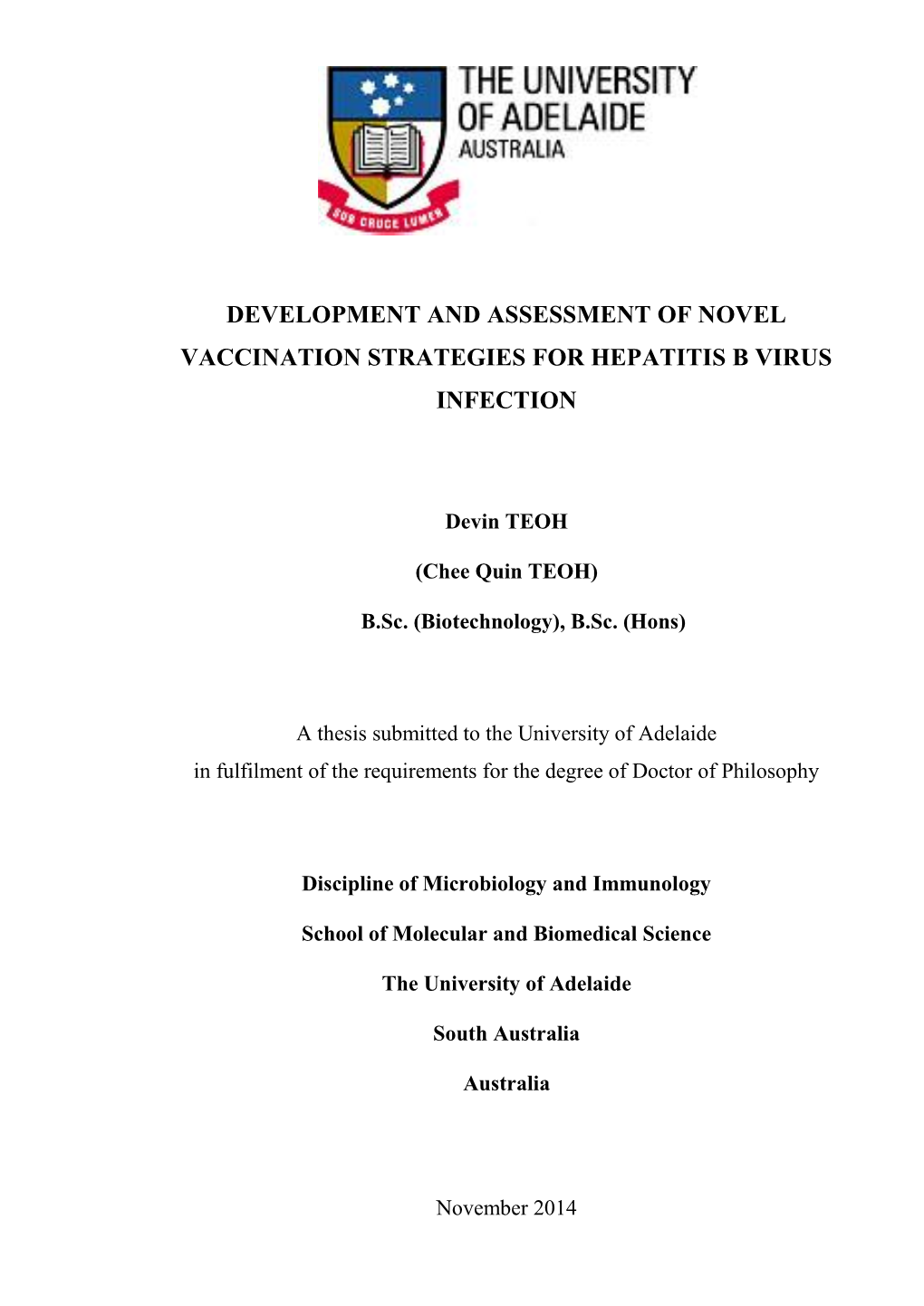 Development and Assessment of Novel Vaccination Strategies for Hepatitis B Virus Infection