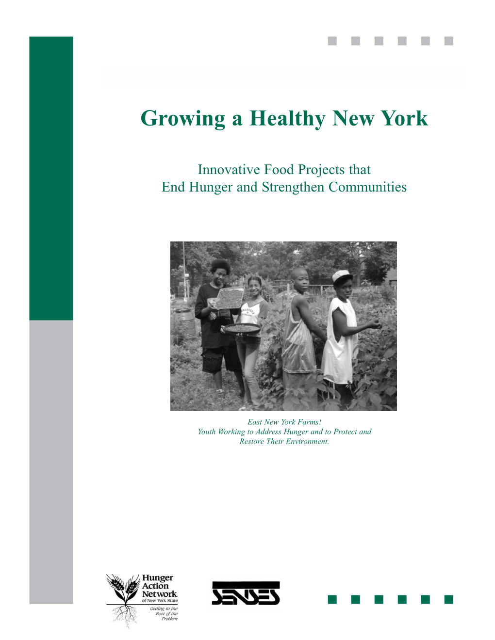 Growing a Healthy New York