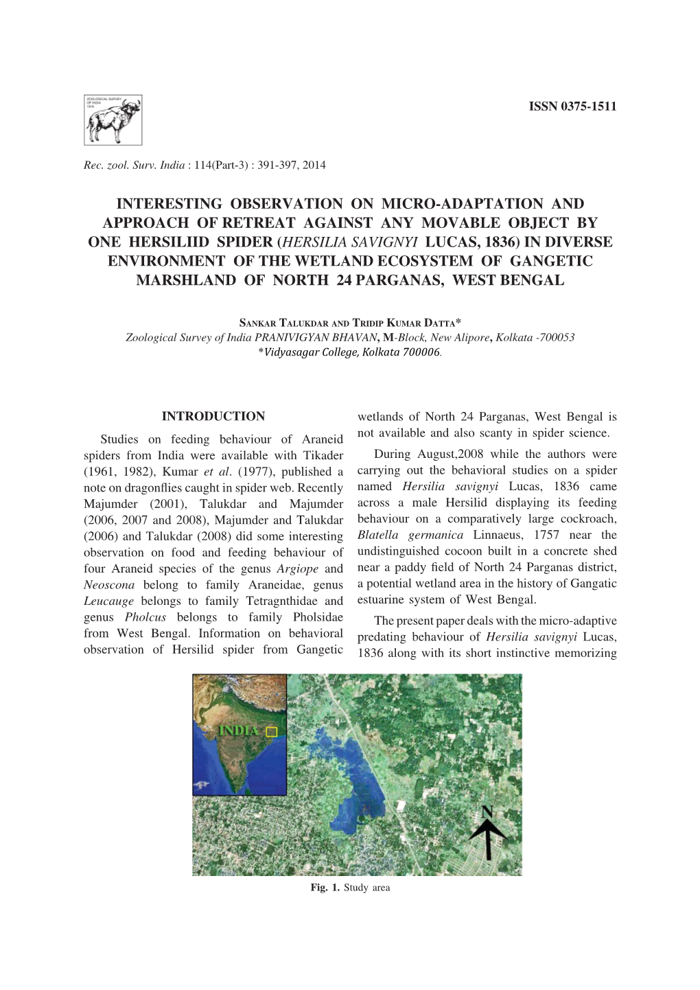 Interesting Observation on Micro-Adaptation and Approach of Retreat Against Any Movable Object by One Hersiliid Sp