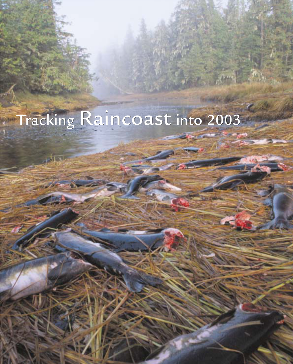 Tracking Raincoast Into 2003 Cover Photo: Ian Mcallister/Raincoast Remains of Pink Salmon Left Behind by Fishing Wolves