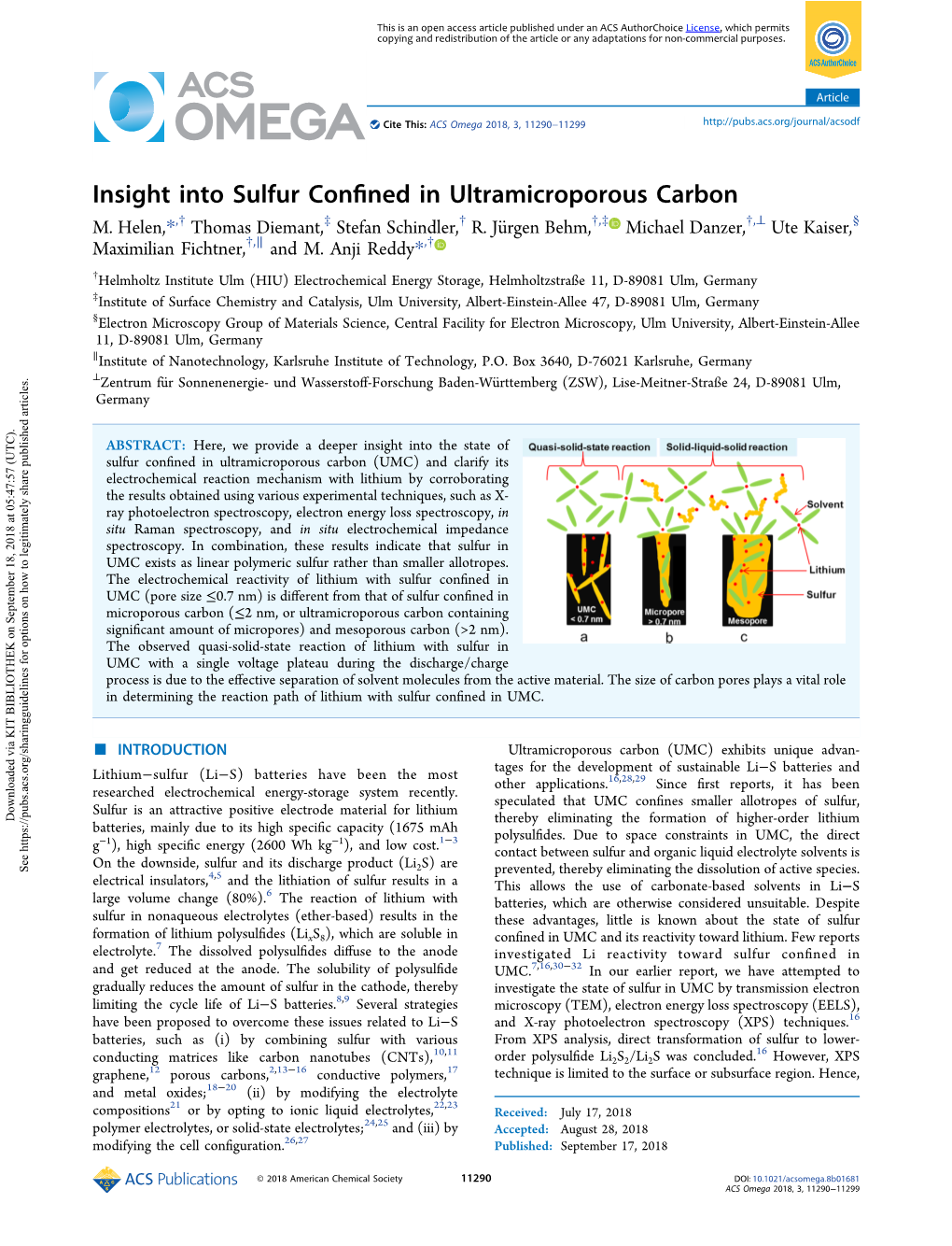 Insight Into Sulfur Confined in Ultramicroporous Carbon