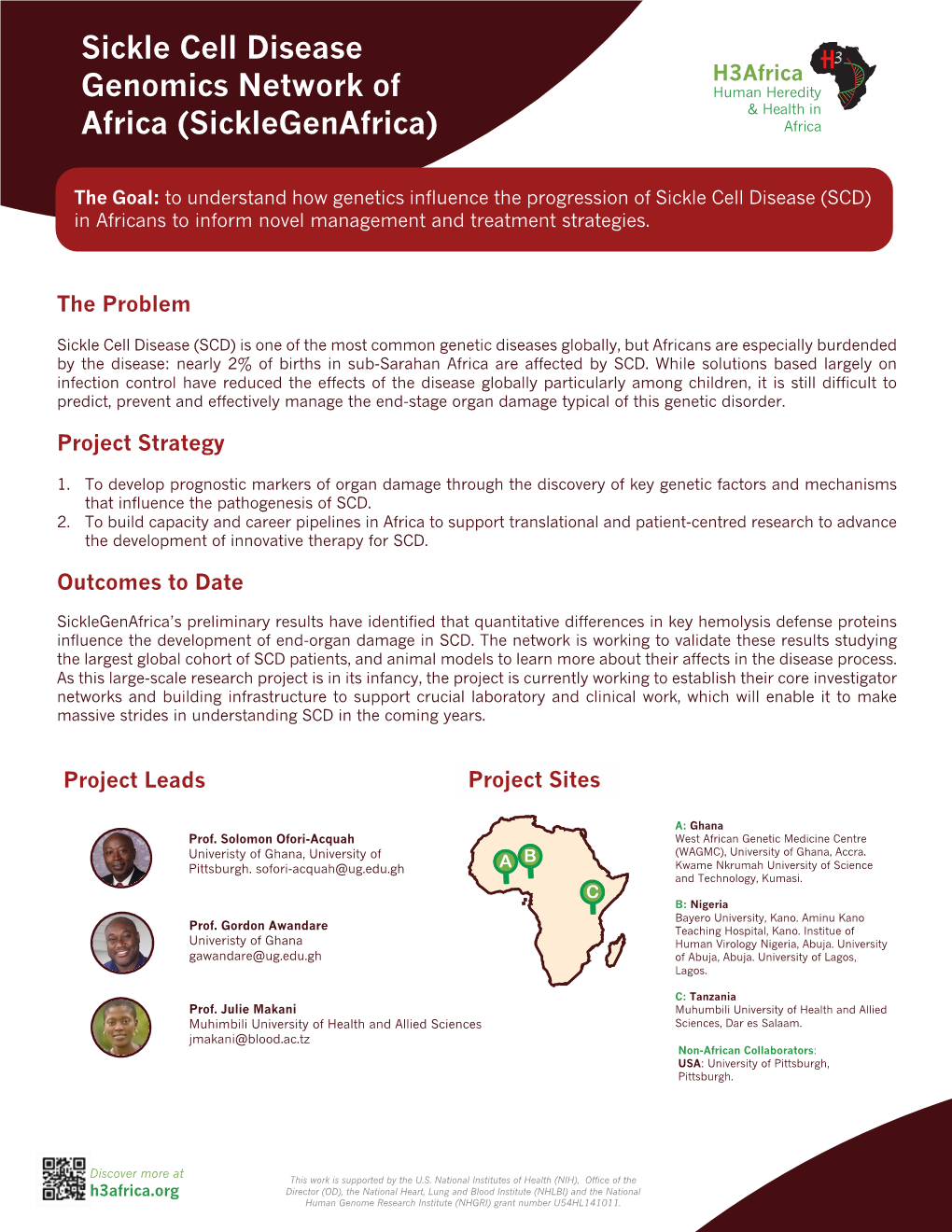 Sickle Cell Disease Genomics Network of Africa (Sicklegenafrica)