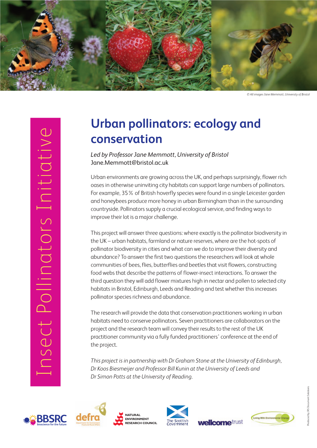 Urban Pollinators: Ecology and Conservation
