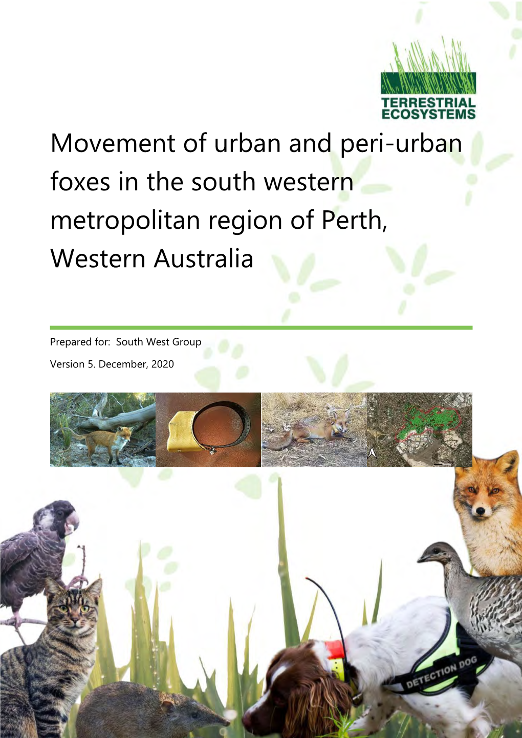 Movement of Urban and Peri-Urban Foxes in the South Western Metropolitan Region of Perth, Western Australia