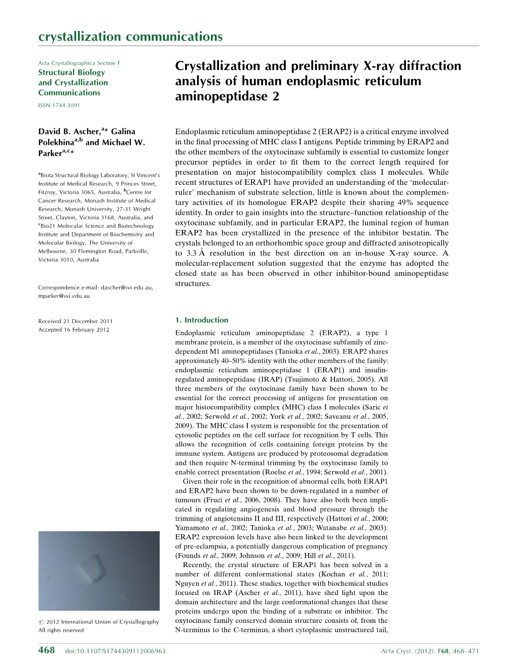 Crystallization and Preliminary X-Ray Diffraction Analysis of Human Endoplasmic Reticulum Aminopeptidase 2