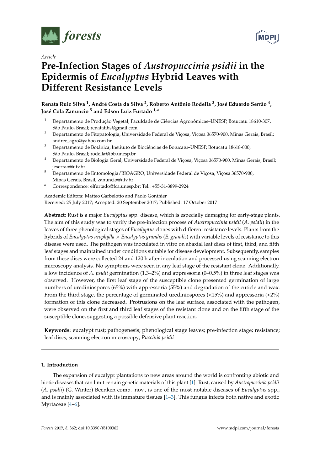 Pre-Infection Stages of Austropuccinia Psidii in the Epidermis of Eucalyptus Hybrid Leaves with Different Resistance Levels