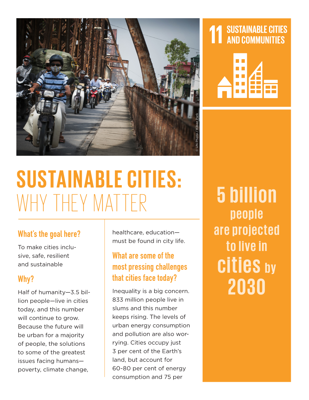 Sustainable Cities: Why They Matter