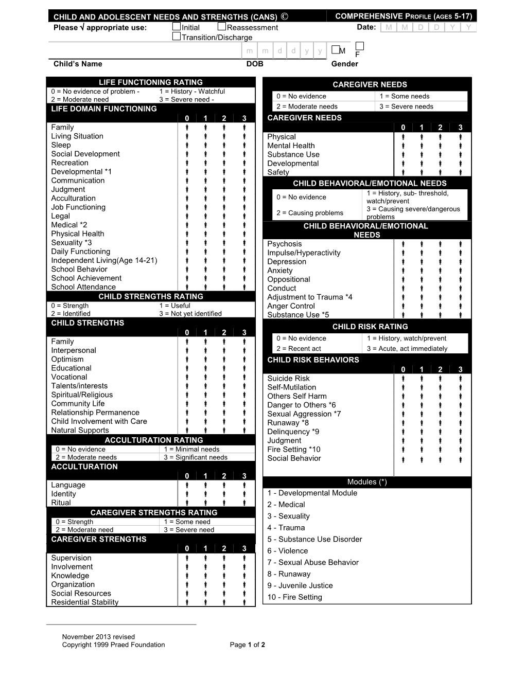 Child and Adolescent Needs and Strengths (Cans)