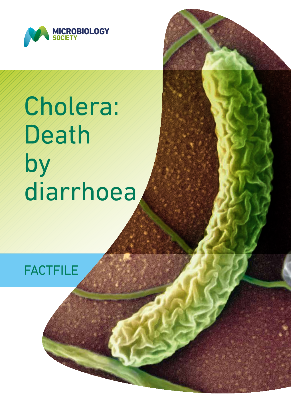 Cholera: Death by Diarrhoea