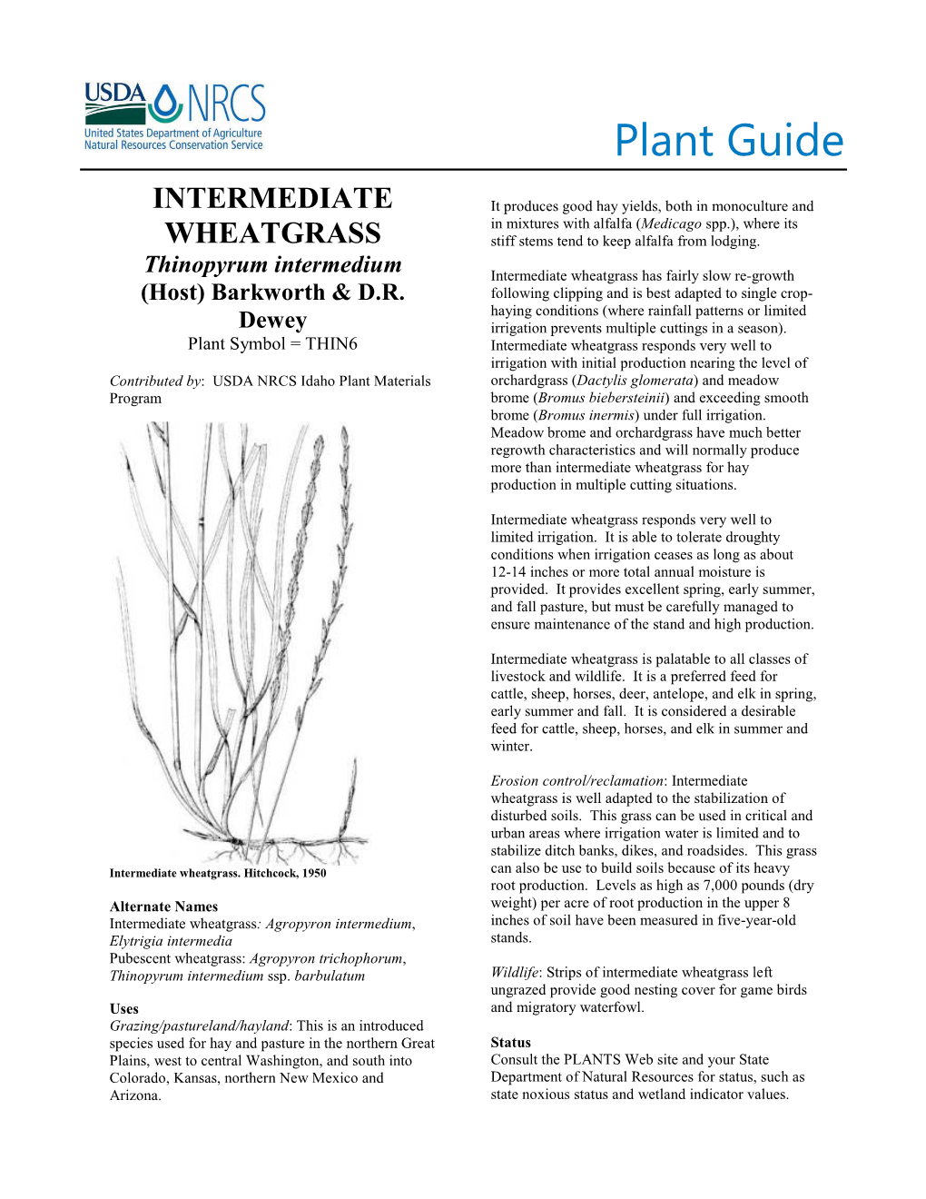 Plant Guide for Intermediate Wheatgrass (Thinopyrum Intermedium)