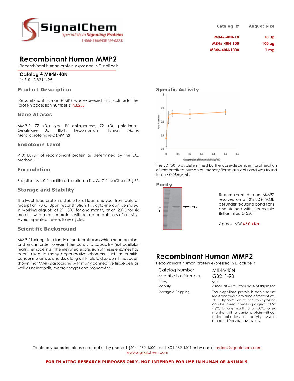 Recombinant Human MMP2 Recombinant Human Protein Expressed in E