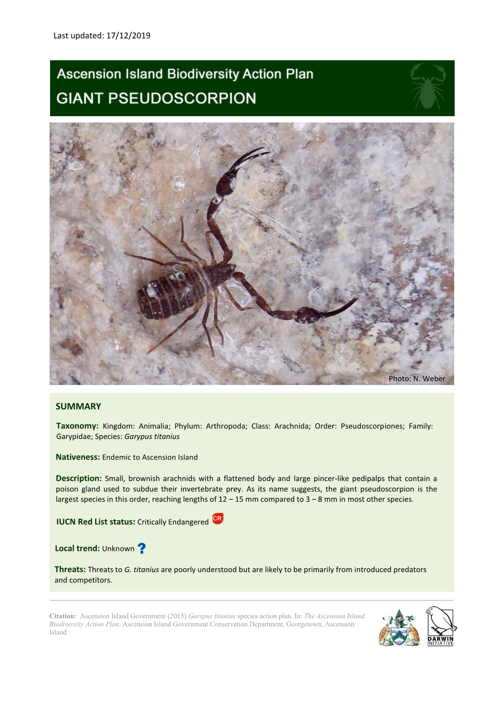 Giant-Pseudoscorpion-Sap-1