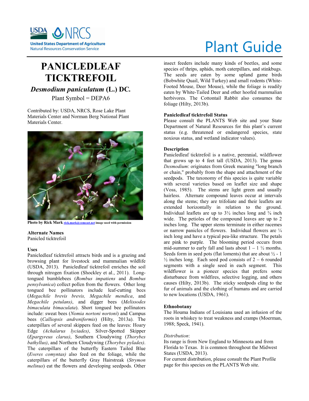 Panicledleaf Ticktrefoil. Desmodium Paniculatum (L.) DC., Plant Guide