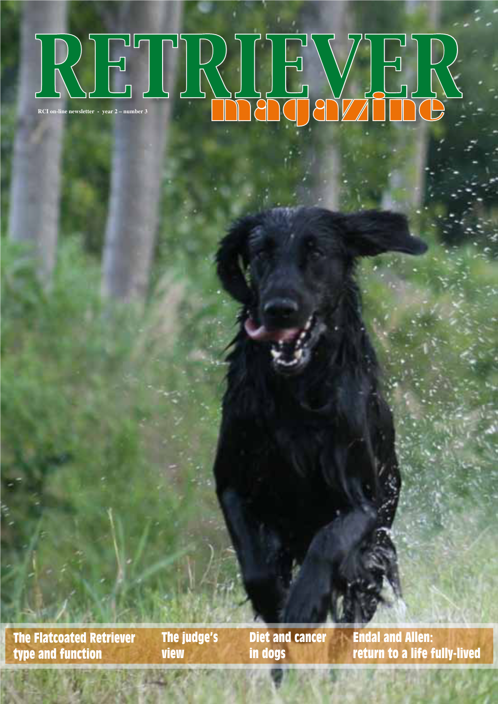 RETRIEVERRCI On-Line Newsletter - Year 2 – Number 3 Magazine