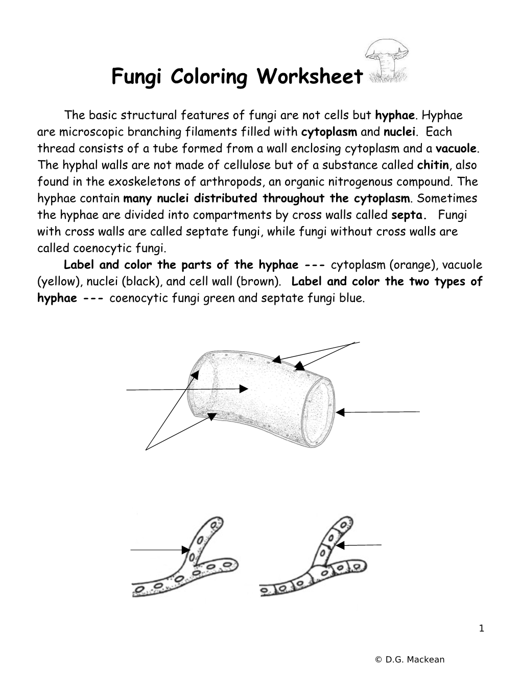 Fungi Coloring Worksheet