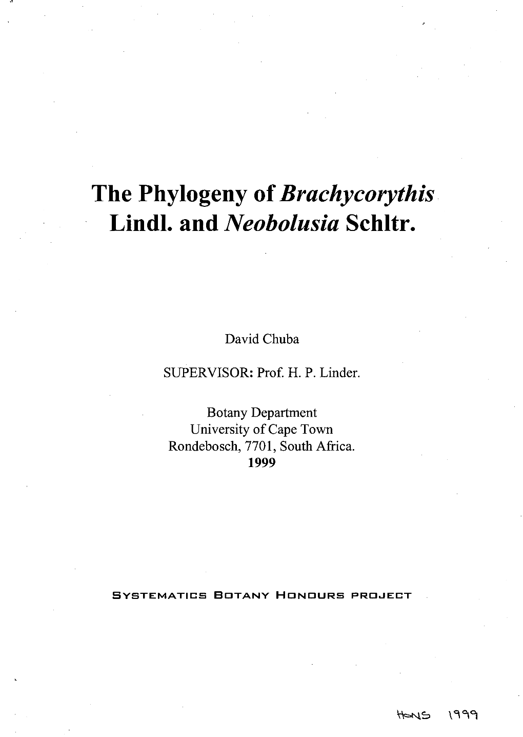 The Phylogeny of Brachycorythis Lindl. and Neobolusia Schltr