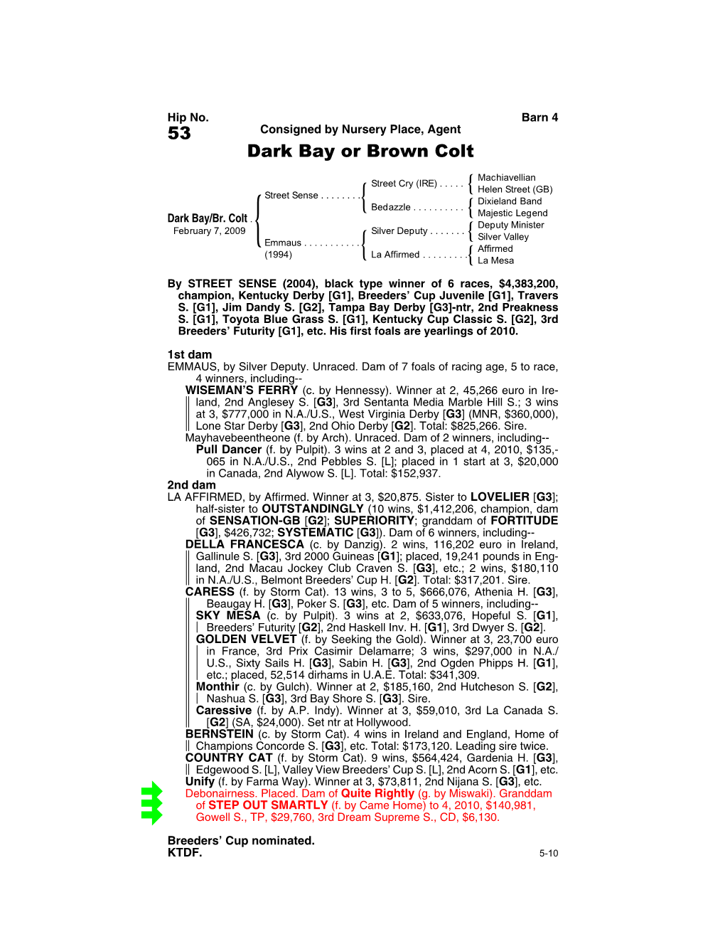 53 Consigned by Nursery Place, Agent Dark Bay Or Brown Colt