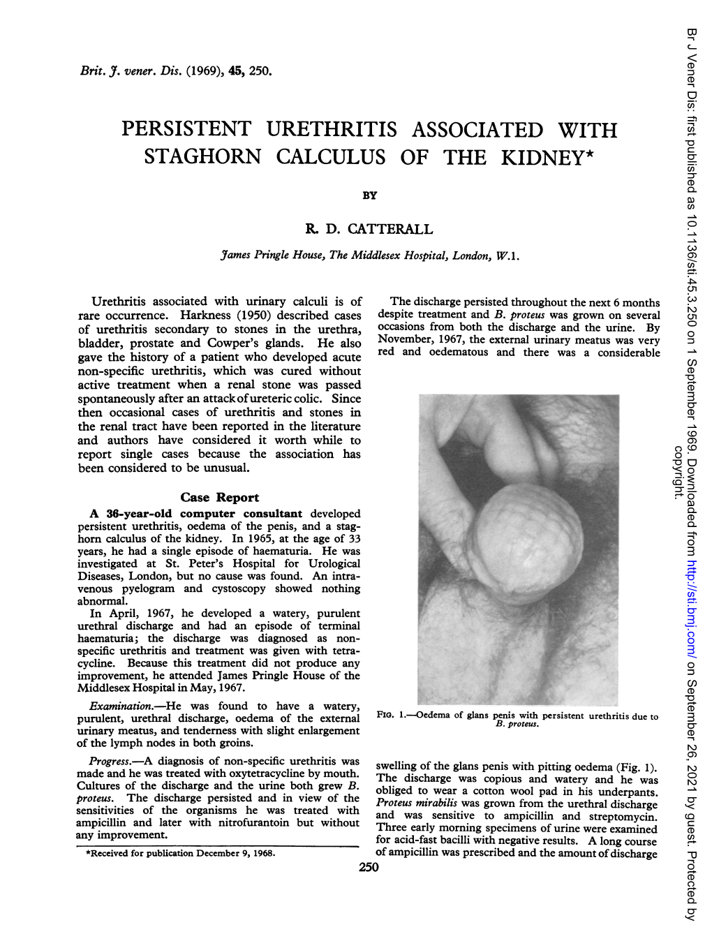 Persistent Urethritis Associated with Staghorn Calculus of the Kidney*