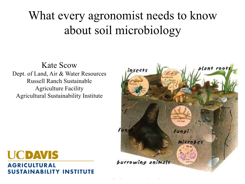 What Every Agronomist Needs to Know About Soil Microbiology