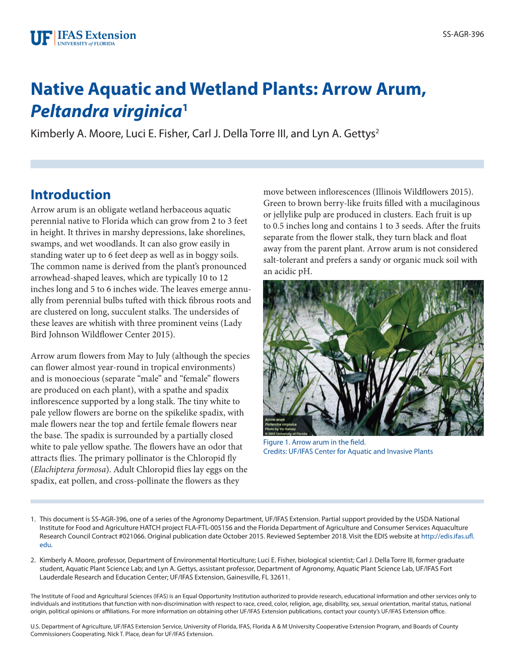 Native Aquatic and Wetland Plants: Arrow Arum, Peltandra Virginica1 Kimberly A