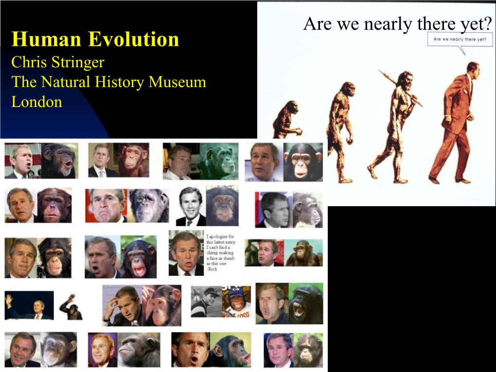 Human Evolution Chris Stringer the Natural History Museum London