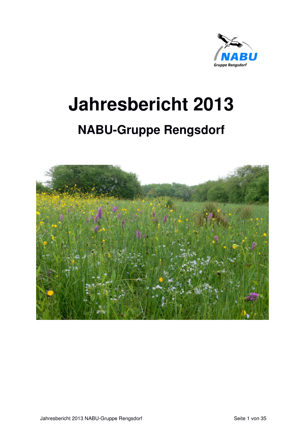 Jahresbericht 2013 NABU-Gruppe Rengsdorf