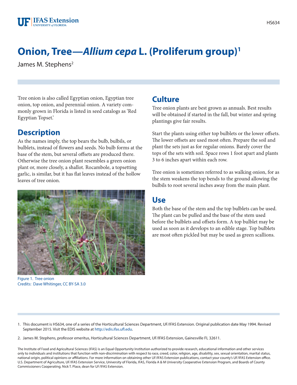 Onion, Tree—Allium Cepa L. (Proliferum Group)1 James M